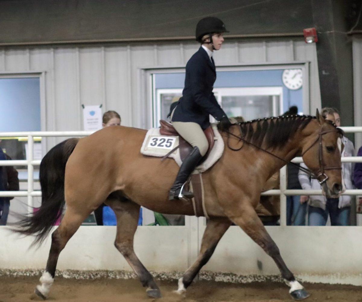 Senior Sammi Nack rides her horse JD during an equestrian event. (Photo courtesy of Sammi Nack)