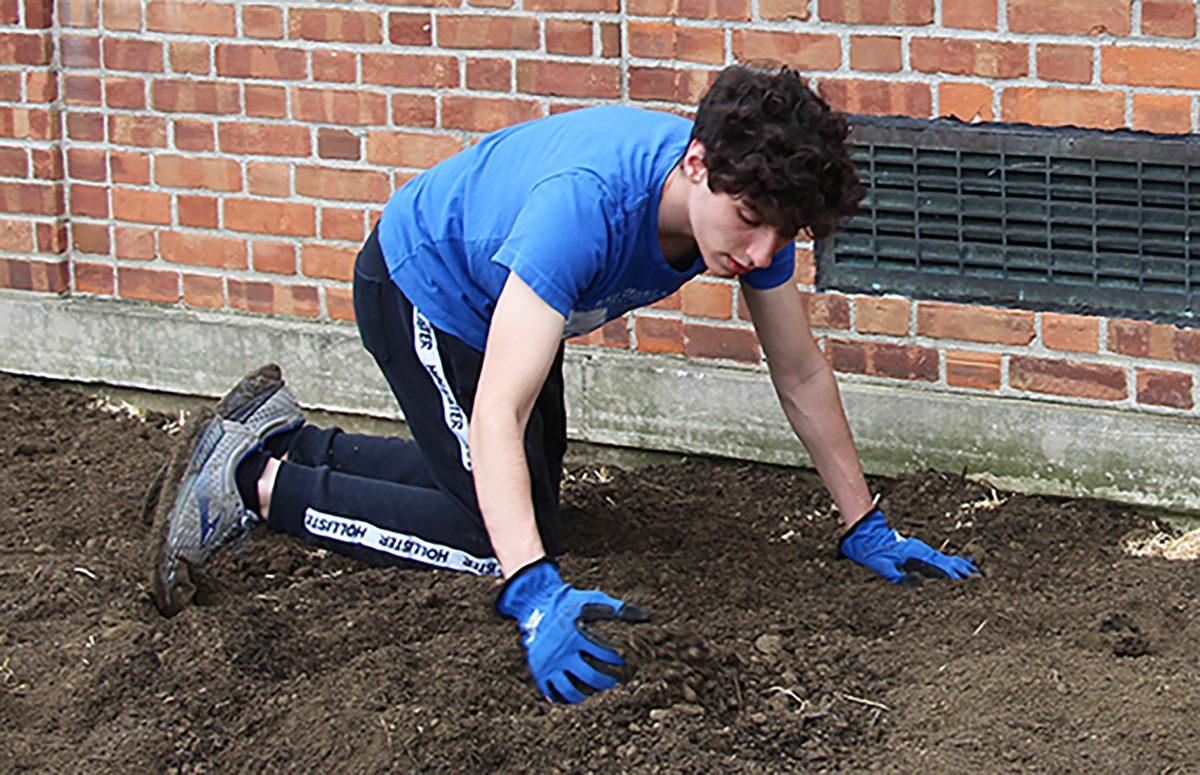 Senior Josh Bahar leads Garden Club in constructing a new green space
April 30. (Photo by Wendy Wasserstrom)