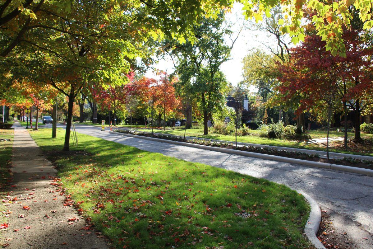 New median and speed check added to Drexel. (photo by Chelsea Wasserstrom)