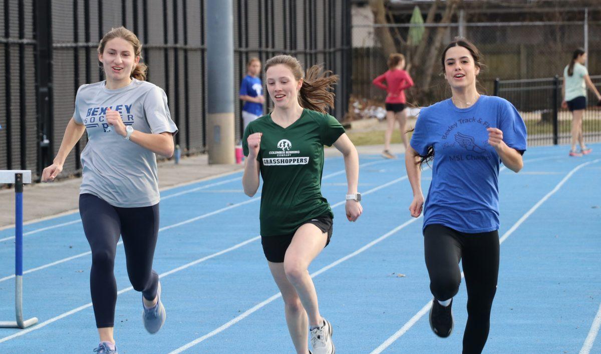 Spring sports preview: Lions prepare for upcoming spring season