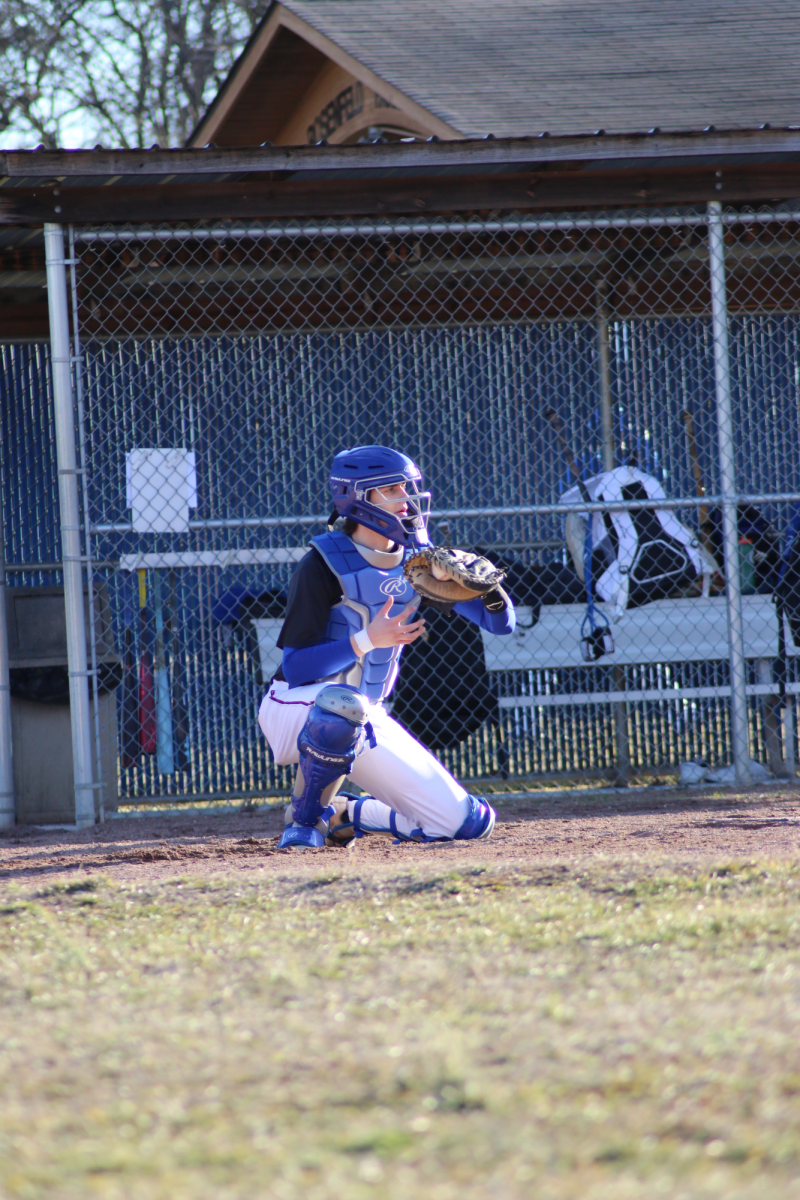 Spring Sports Preview: Lions prepare for upcoming spring season