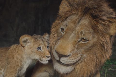 Kiara (voiced by Blue Ivy Carter) shares a sweet moment with
father Simba (voiced by Donald Glover) in the origin story of the
classic Disney film, “The Lion King.” (Fair use IMDb)