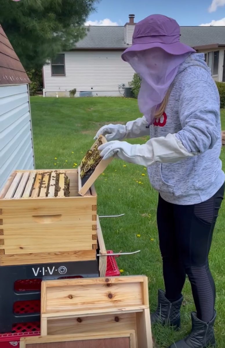Math teacher Jennifer Kirk manages her beehive. (Photo credit Jennifer Kirk)