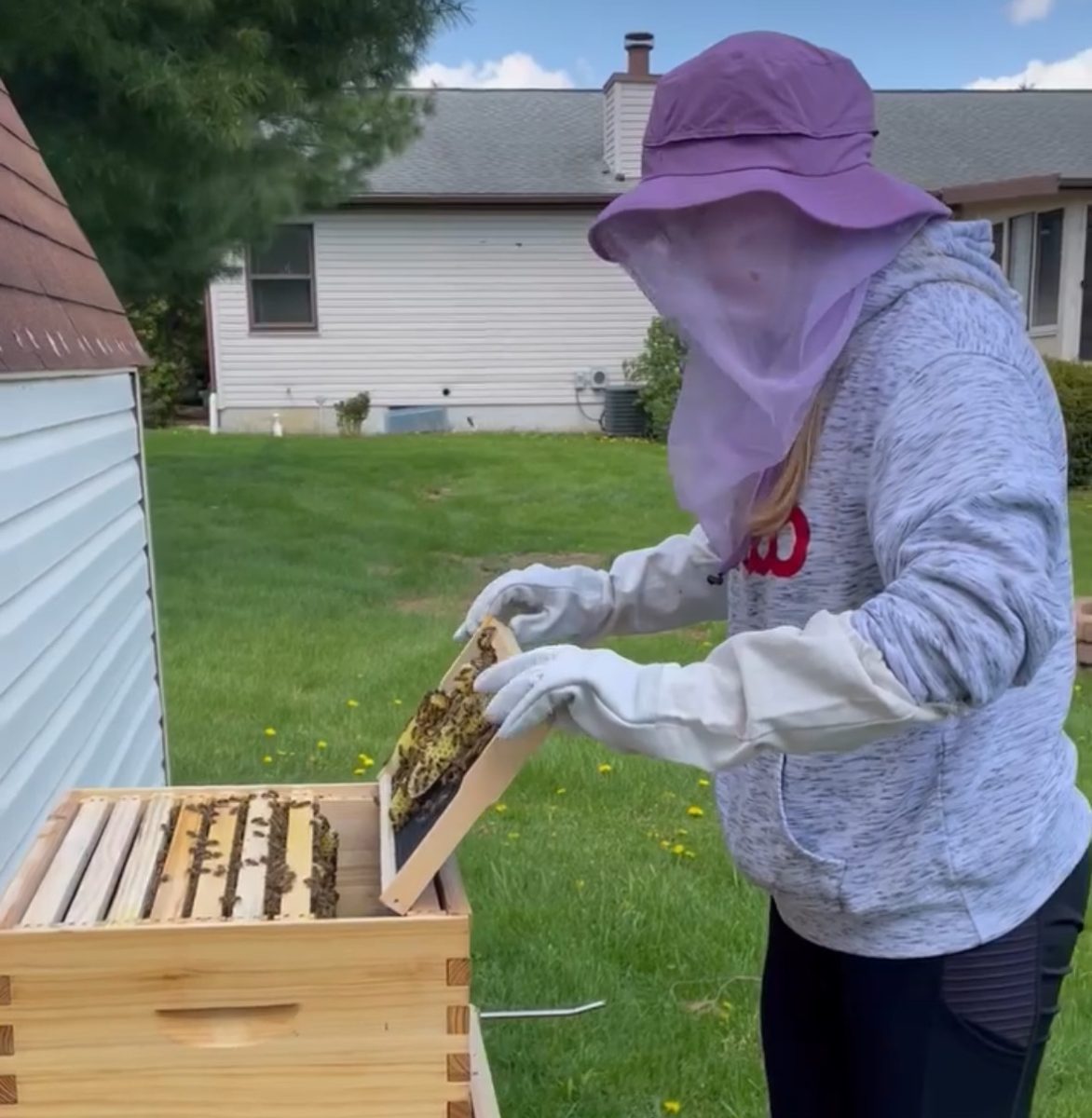 Math teacher Jennifer Kirk manages her beehive. (Photo courtesy of Jennifer Kirk)
