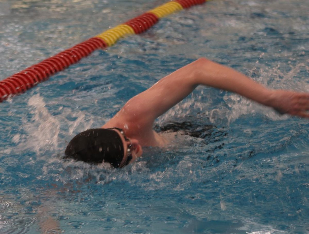 Junior Asher Crilly practices his freestyle Nov. 18.