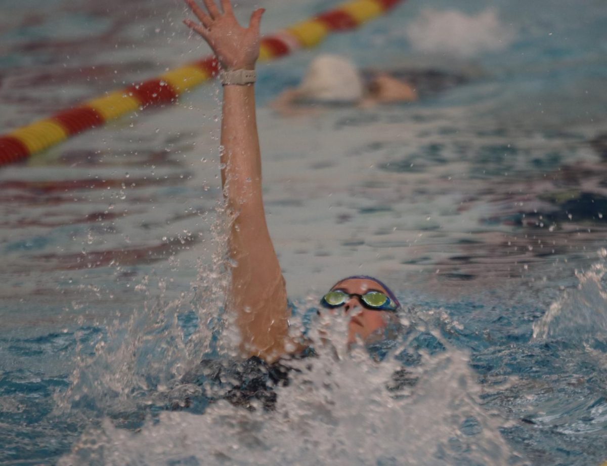 Senior Hadley Langolf swims backstroke at practice Nov. 18.