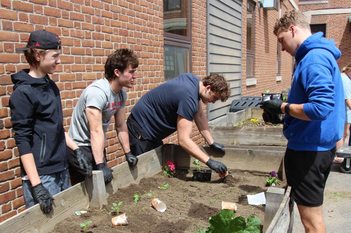 Food Science class plants companion plant garden