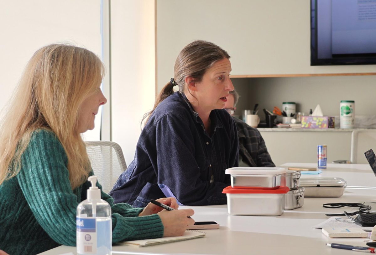 Secretary Natalie Cohen listens as Lisa Goldsand speaks at an Environmental Sustainability Advisory Committee meeting at City Hall Monday, April 20.
